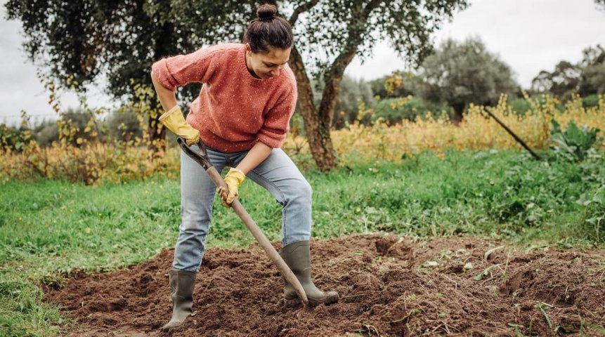 С чего начать садоводство и огородничество: 7 дельных советов